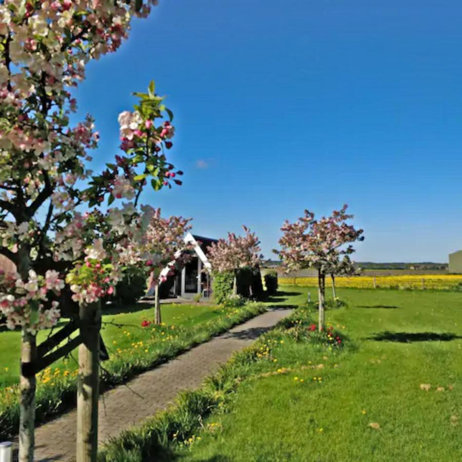 Hotelhuisje Warmenhuizen #C Buitenkant foto