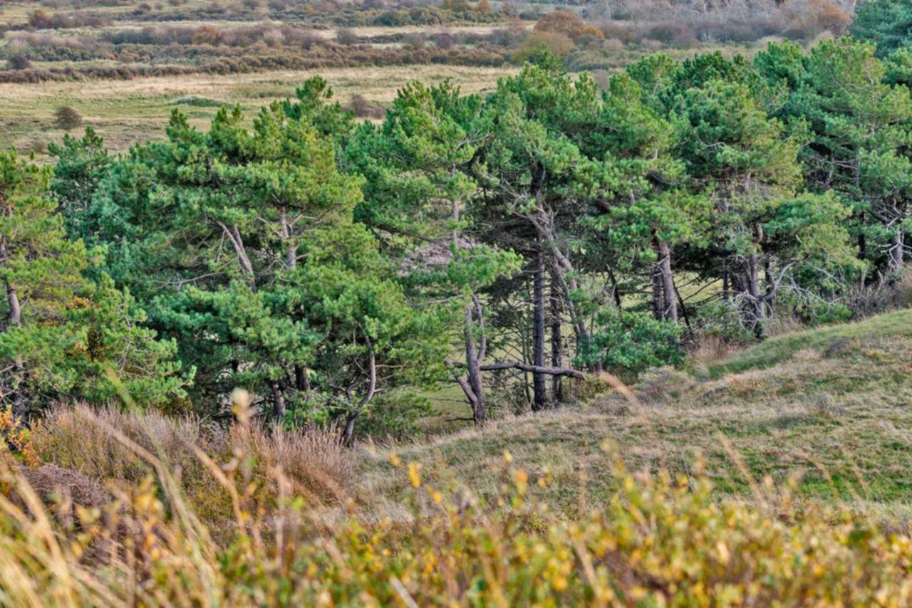 Hotelhuisje Warmenhuizen #C Buitenkant foto